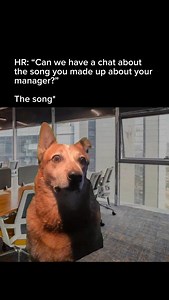 3.4K views · 12 reactions | HR want to chat #workmemes #memes #fyp | Buzzy Box | Facebook