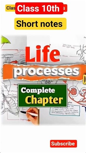 Class 10th Life process #cbseboard #neet #physics #class10th #physicswallah #shorts #lifeprocess