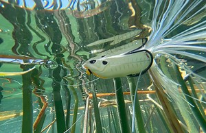 Frog fishing can take many forms, especially when it comes to matching forage. Learn from Chris Zaldain that matching a variety of surface based forage, a hollow bodied frog can be utilized in many different scenarios when the fish are looking to the surface for their next meal. Dynamic frog fishing with the Big Gabot will open your eyes to what hollow bodied frogs can effectively mimic and how they fit into the food chain of your local waters. Discussed in the video: -Accurate casts are a must 