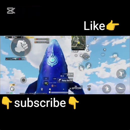 pubg mobile whale😱😱😱