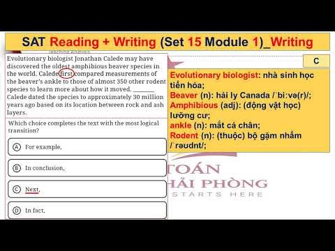 Tiếng Anh SAT_Practice Set 15_Module 1_Princeton 2026_Practice Set 2_Writing questions
