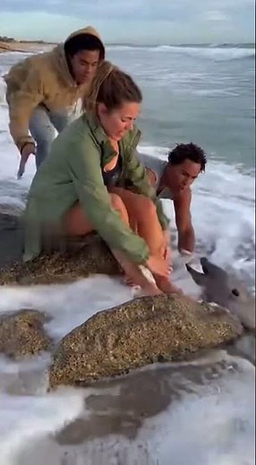 Huge Eel Latches Onto Woman’s Legs — Friends Rush In! 🌊🐍