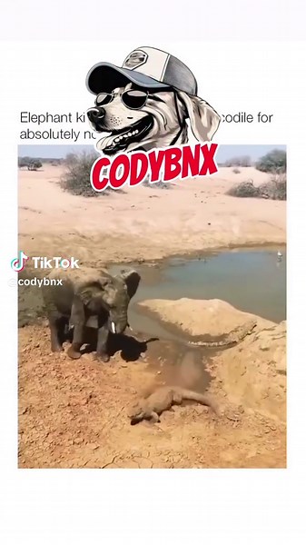 Codybnx (@codybnx)’s videos with original sound - Codybnx