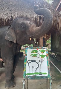 Trunk Made Painting, Oil Painting Made by Thai Elephant, Elephant Wall Decor, Birthday Gift, Mother Day Gift, Father Day Gift Christmas Gift - Etsy