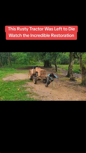 Incredible Tractor Restoration Journey from Rust to Glory