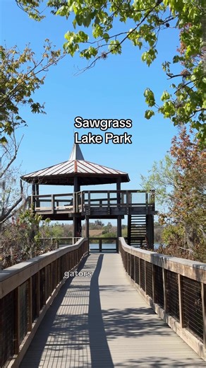 Explore Sawgrass Lake Park: A Hidden Gem in St. Pete