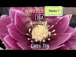 BWV232-18a,18b,19 Basso1 Chorus Practice With Machine Voice 逐語訳付き 合唱 バス1 音取り音取りと実践 バッハ ロ短調ミサ曲