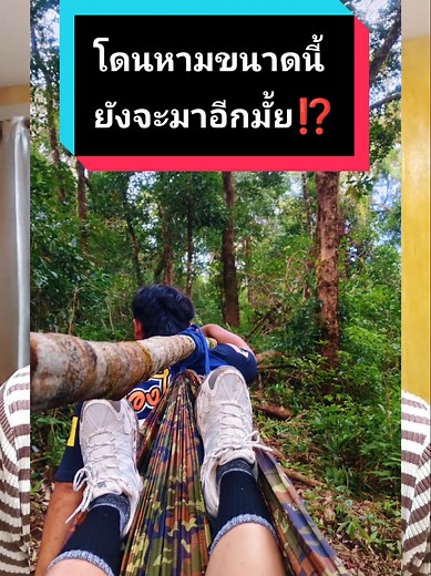 ประสบการณ์เดินป่าสันหนอกวัวกาญจนบุรี
