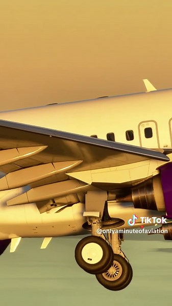 Boeing 737-800 Avello Airlines Experience