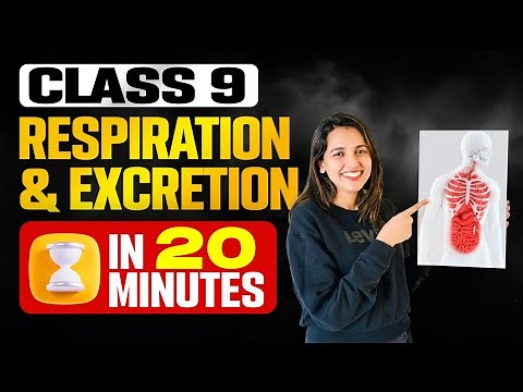 Class 9 Biology | Chapter 3 Respiration and Excretion | Full Chapter in One Video | Exam Winner