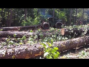 Timberjack skidder 225 big pine