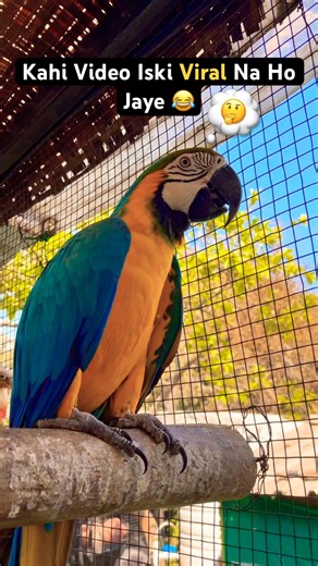 Places to Visit in Nashik | Peruchi Wadi | Pakshanchi Wadi Nasik | Funny Parrot 🦜 Video