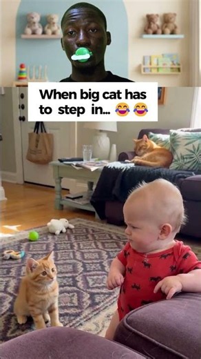 The kitten messed with the WRONG baby 💀.#cutebabies #funnybaby
