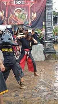 WADYO BOLO JATI On Java Cultural | #short #seni #budaya #carnaval #sports #trip #subscribe