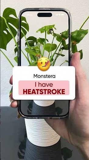 Plant Scanner & Care 🌸 | Instantly Recognize and Care for Your Plants