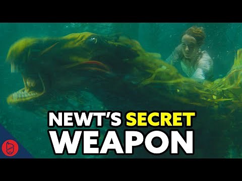 Newt’s Kelpie Is The Key To Victory [Fantastic Beast Theory]