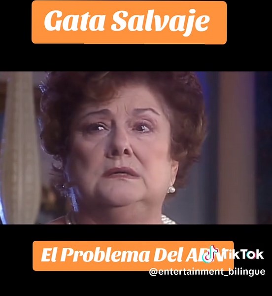 Gata Salvaje: Unveiling the Drama of Telenovelas