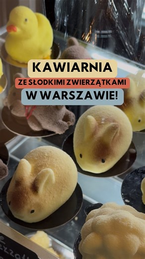 To chyba najbardziej urocze ciacha w Warszawie! 🐭🧀 Ciacho w kształcie myszki 🐭, chomiczka 🐹, misia 🧸, a może zajączka? 🐰 Nie ma problemu! 😍 Do tego naprawdę dobra kawa, matcha, herbata lub kakao ☕️ Są też przekąski na słono i mochi! Kawiarnia jest dość mała, ale przytulna. 💬 Byliście tu już? Dajcie znać w komentarzu! 📍 DOSE Matcha & Coffee Bar - ul. Krochmalna 54/U5 @dose.warsaw 💰 ciacha po 26 zł 📌 zapiszcie ten filmik na później i zaobserwujcie nas po więcej ciekawych miejsc w Warsza