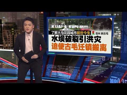 从旧古毛到新古毛 白鳄鱼传说流传至今 | 新闻报报看 04/04/2026