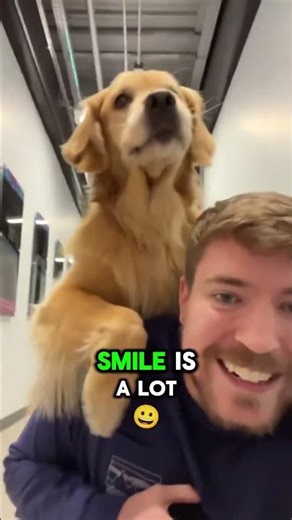 How Hard Is It to Take Care of a Golden Retriever? 🐾 (What You Need to Know!) #shorts