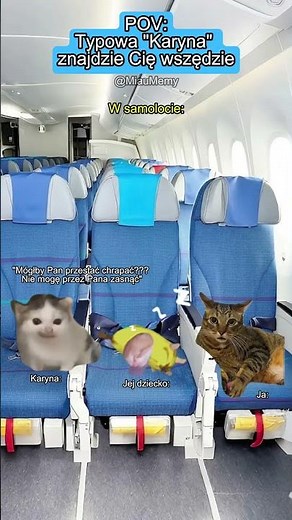 CAT MEMES 😼 POV: Typical "Karyna" will find you everywhere #catmemes #cats #memes #relationships ...