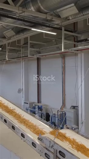 FOODSCIENCE on Instagram: "Extrusion Tech: How Snacks Are Made!#SnackProduction #FoodScience #ExtrusionProcess #HowItsMade #FoodManufacturing"