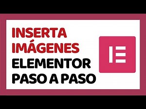 How to Insert Image in Elementor 2024