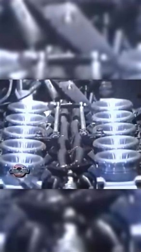 Auto Performance on Reels