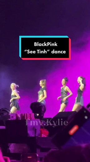 BlackPink nhảy “See Tình” tại Born Pink World Tour in Hà Nội #bornpinkinhanoi #bornpinkinvietnam #bornpinkworldtour #blackpink #fyp #trending #xh
