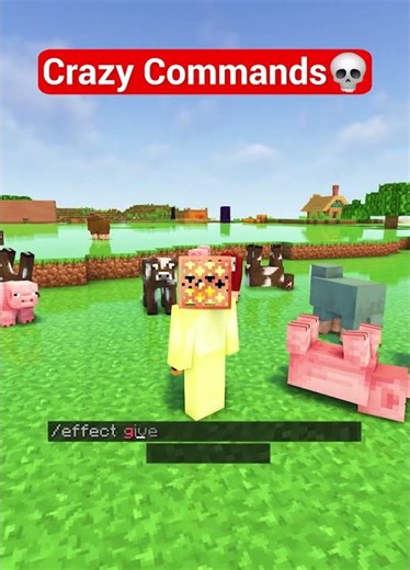 Minecraft Crazy Commands 🤯 (Imposter Syndrome) #shorts #minecraft