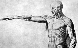 UI设计0基础到精通完整教程