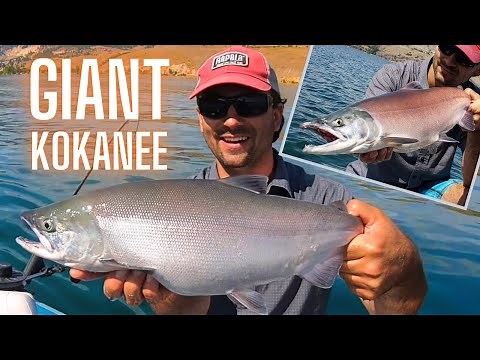 Kokanee Salmon Fishing for Beginners: Easy Trolling Setup That Actually Works!