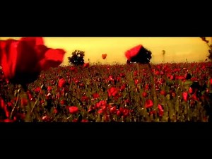 Sisu - Din Toate Florile ( Official Video )