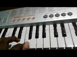 DAM RAJINA ALL HORNS