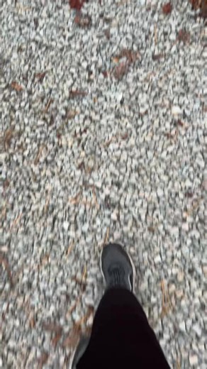 KittyCar (@kittycar67)’s videos with son original - nostalgia.z