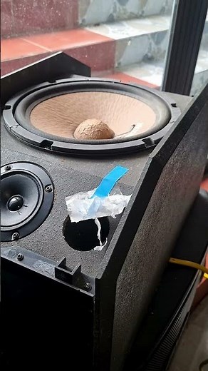 Is This the BEST 10-Inch Subwoofer of the Year Full BASS Test & Review #nghia #speaker #automobile