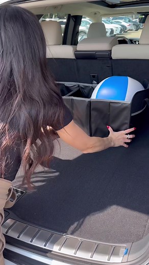 Lexus of Edmonton on TikTok