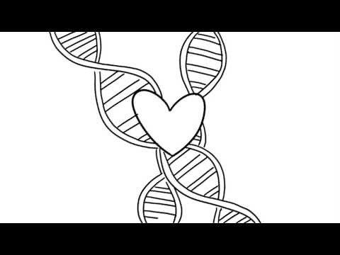 24 Psychological Effects of Attraction