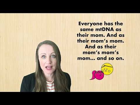 mtDNA Full-Sequence Tests for Family History