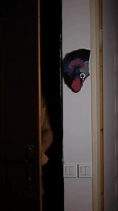 Mohammad Atai on Reels