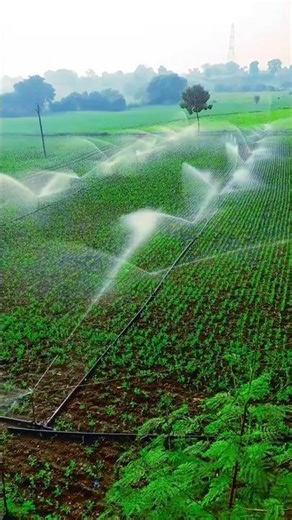 Portable Sprinkler System for Farmers | Best Irrigation Solution | Welldrip Irrigation
