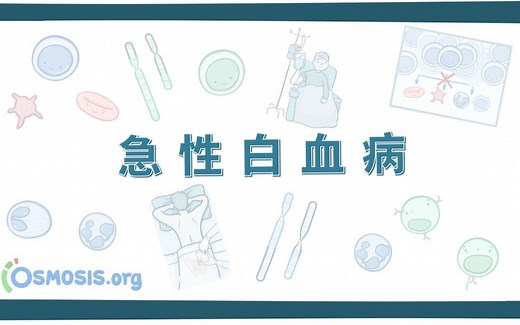 【Osmosis】急性白血病 Acute Leukemia（中英字幕）