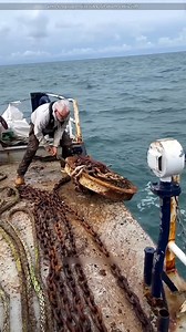 1.3K views · 381 reactions | How do you anchor large ships?  | M Madat | Facebook