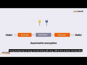 [Vietsub] What is PKI? | How does PKI Work?