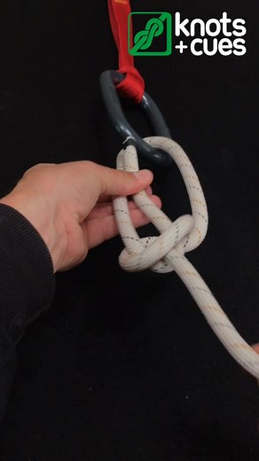 Mastering the Bowline Knot: A Quick and Easy Guide