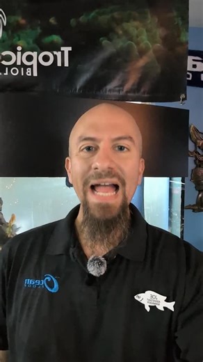 The penny sale is back at the Ocean Floor! Come take advantage and buy any fish at regular price, get a second fish for one penny (equal or lesser value). All freshwater animals are included in this sale from fish to frogs and shrimp to snails. Sale will run from December 22 through December 24 at 4 pm. Saltwater animals are excluded. No limit on dollar amount or number of freshwater fish. | The Ocean Floor