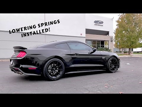 2019 Mustang GT – Steeda Progressive Springs Review