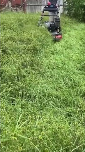 What can the Toro Timemaster does?