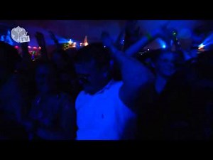 Tomorrowland 2013 - Avicii (Levels & Wake Me Up)