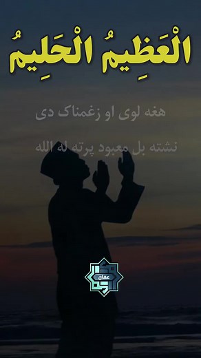 Fadi AL Omari on Reels